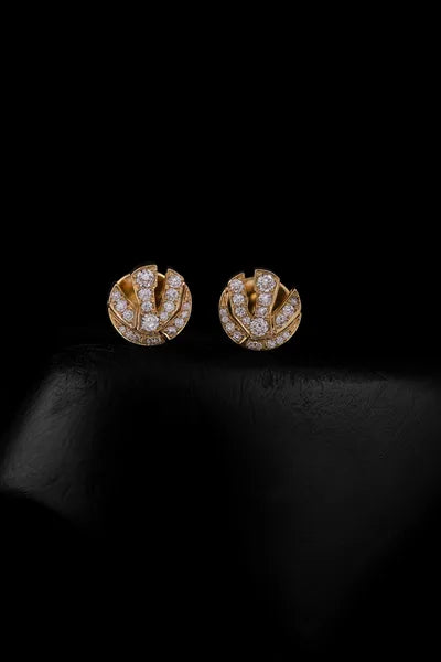 NAR earrings
